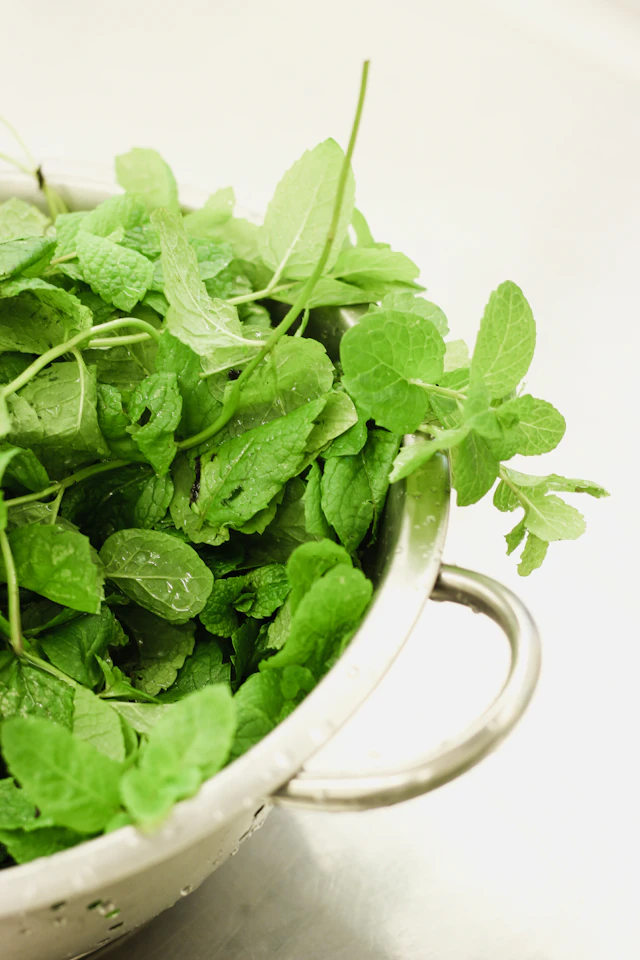 Fresh mint leaves in a metal colander on a light tabletop.